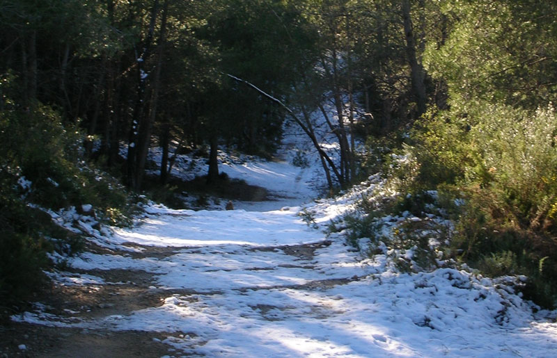 el alto palancia paisaje patrimonio turismo rutas