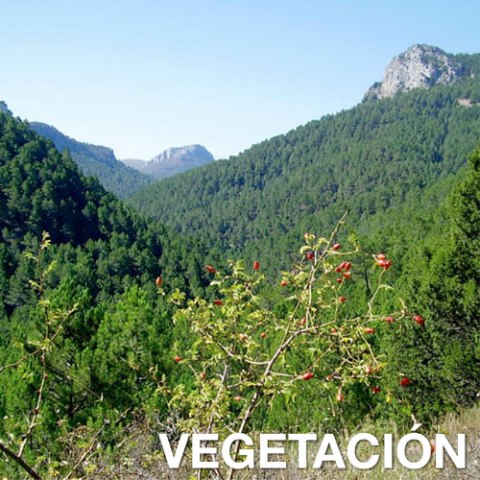 el alto palancia paisaje patrimonio turismo rutas