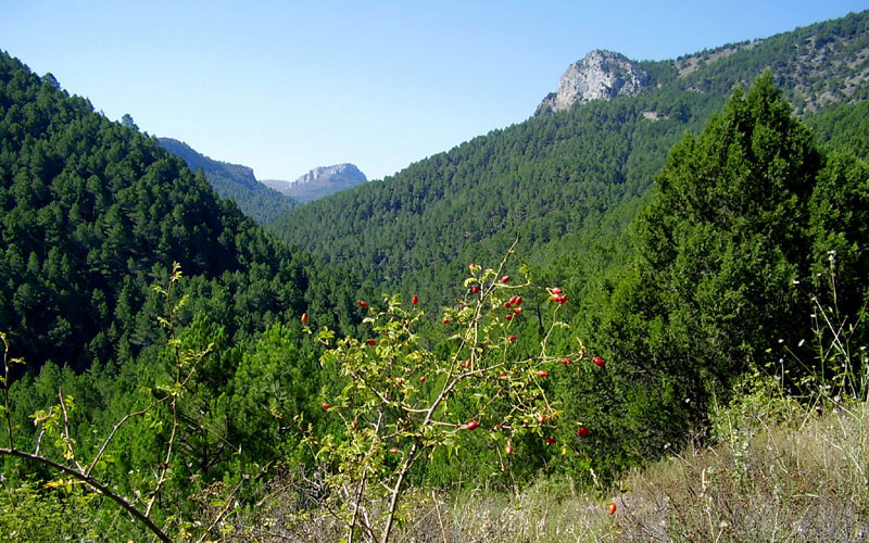 el alto palancia paisaje patrimonio turismo rutas